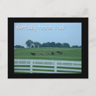 Kentucky Horse Park Postcard