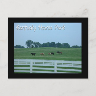 Kentucky Horse Park Postcard