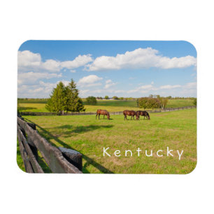 Kentucky, horses at horse farm Photo Magnet
