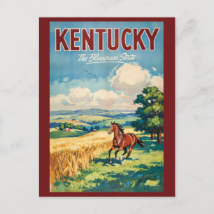 Kentucky Horses Illustration Travel Art Vintage Postcard