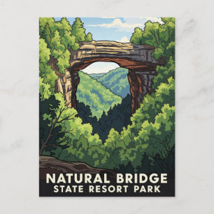 Kentucky Natural Bridge State Resort Park Travel Postcard