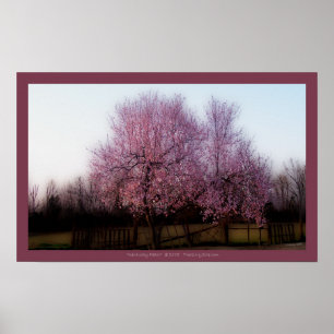 Kentucky Peach Poster
