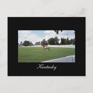 Kentucky Postcard