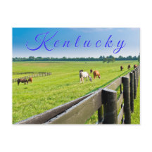 Kentucky Postcard. Horses at horse farm.
