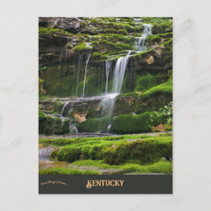 Kentucky River in Kentucky Postcard