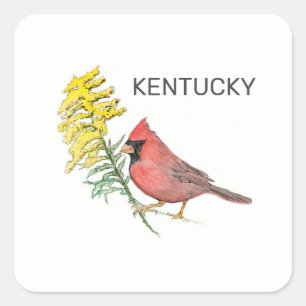 Kentucky state bird and flower square sticker