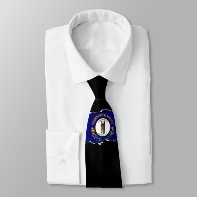 Kentucky State Flag Tie (Tied)
