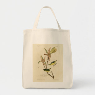 Kentucky Warbler from Audubon's Birds of America Tote Bag
