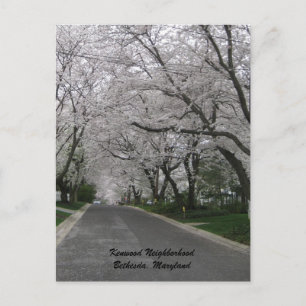 Kenwood Neighbourhood, Bethesda, Maryland Postcard