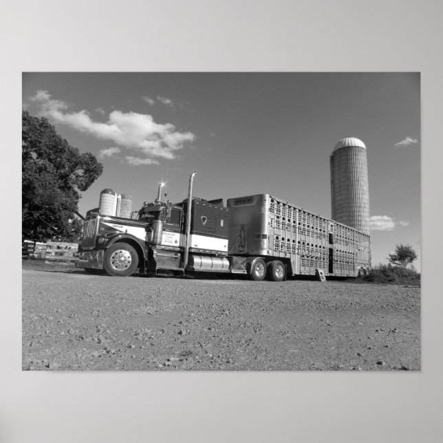 Kenworth A Model Livestock Hauler (black & white) Poster (Front)