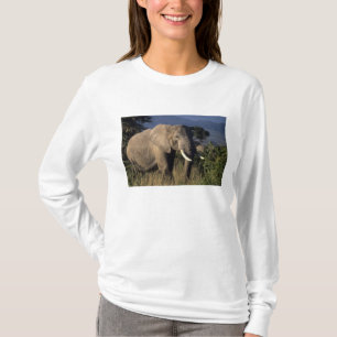 Kenya: Amboseli, male African elephant T-Shirt