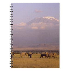 Kenya: Amboseli National Park, Elephants Notebook