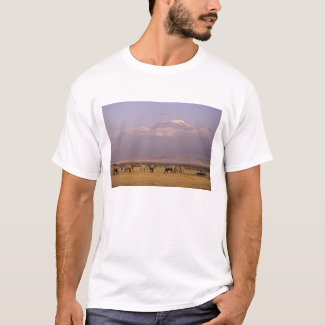 Kenya: Amboseli National Park, Elephants T-Shirt (Front)