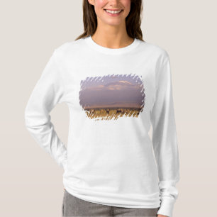 Kenya: Amboseli National Park, Elephants T-Shirt