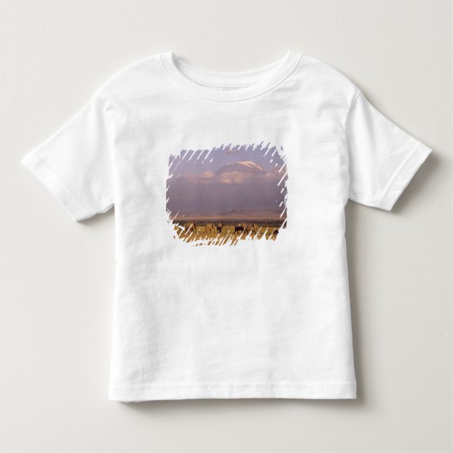 Kenya: Amboseli National Park, Elephants Toddler T-Shirt (Front)