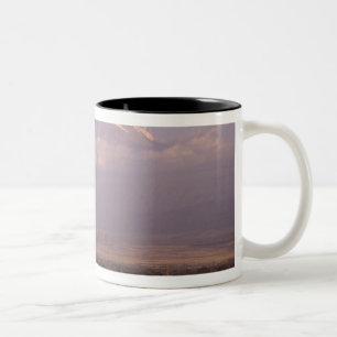 Kenya: Amboseli National Park, Elephants Two-Tone Coffee Mug