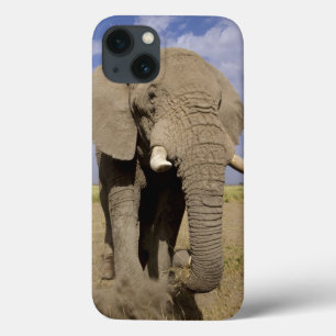 Kenya: Amboseli National Park, male elephant iPhone 13 Case