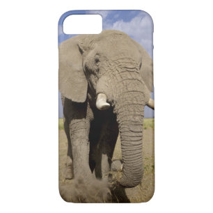 Kenya: Amboseli National Park, male elephant iPhone 8/7 Case