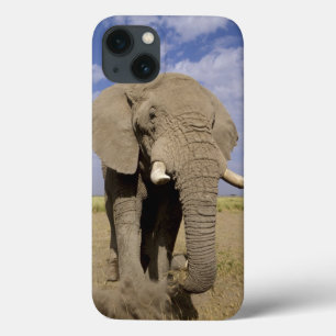 Kenya: Amboseli National Park, male elephant iPhone 13 Case