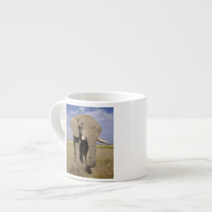 Kenya: Amboseli National Park, male elephant Espresso Cup