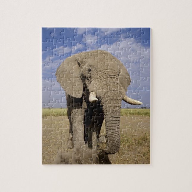 Kenya: Amboseli National Park, male elephant Jigsaw Puzzle (Vertical)