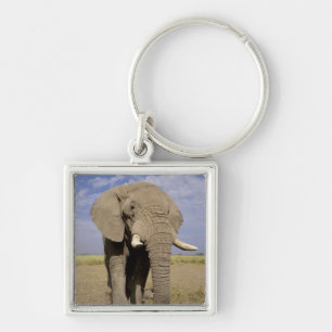 Kenya: Amboseli National Park, male elephant Key Ring