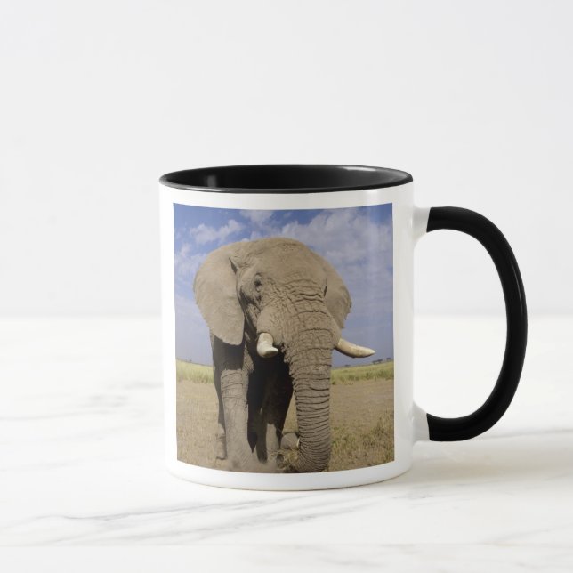Kenya: Amboseli National Park, male elephant Mug (Right)