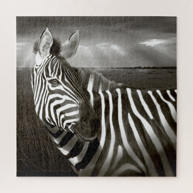 Kenya. Black & white of zebra and plain. Jigsaw Puzzle (Vertical)
