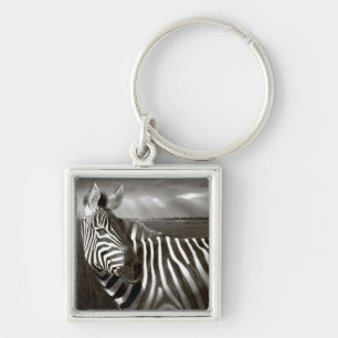 Kenya. Black & white of zebra and plain. Key Ring