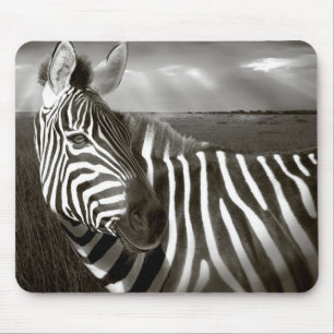 Kenya. Black & white of zebra and plain. Mouse Pad