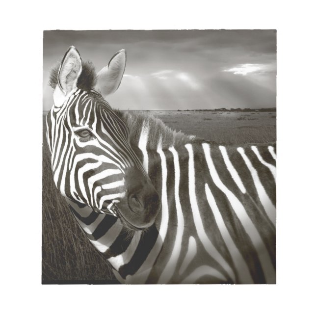 Kenya. Black & white of zebra and plain. Notepad (Front)