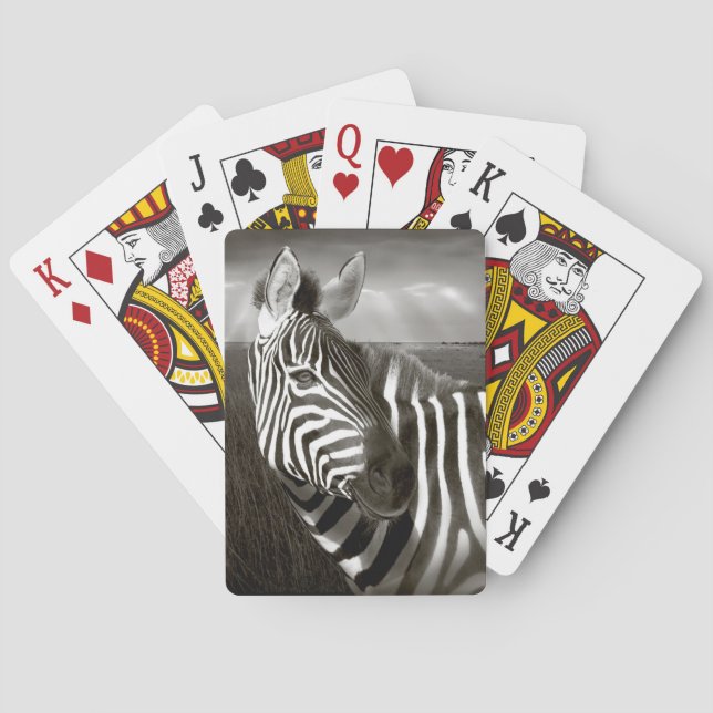 Kenya. Black & white of zebra and plain. Playing Cards (Back)