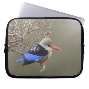 Kenya. Close-up of grey-headed kingfisher Laptop Sleeve