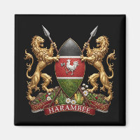 Kenya Coat arms symbol emblem country flag lion
