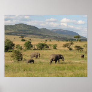 KENYA Elephants Roaming Poster