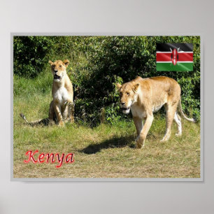 Kenya - Lionesses - Poster