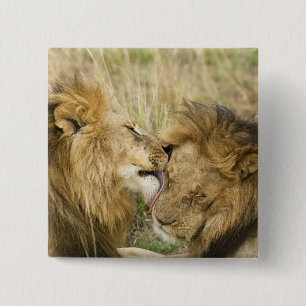 Kenya, Masai Mara 15 Cm Square Badge