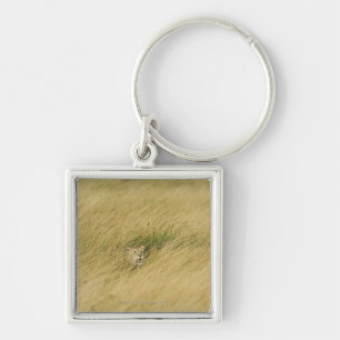 Kenya, Masai Mara 2 Key Ring