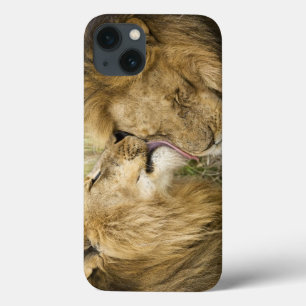 Kenya, Masai Mara iPhone 13 Case