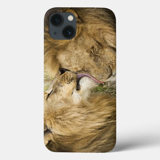Kenya, Masai Mara Case-Mate iPhone Case (Back)