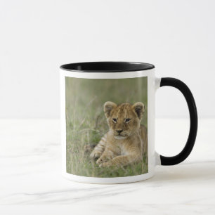 Kenya, Masai Mara Game Reserve. African Lion Mug