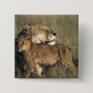 Kenya, Masai Mara Game Reserve, Lioness 15 Cm Square Badge