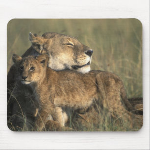 Kenya, Masai Mara Game Reserve, Lioness Mouse Pad