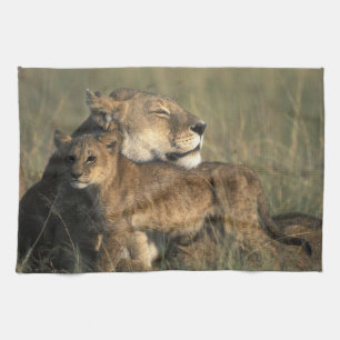 Kenya, Masai Mara Game Reserve, Lioness Tea Towel