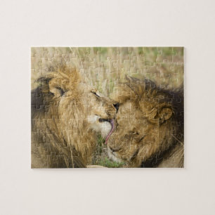 Kenya, Masai Mara Jigsaw Puzzle