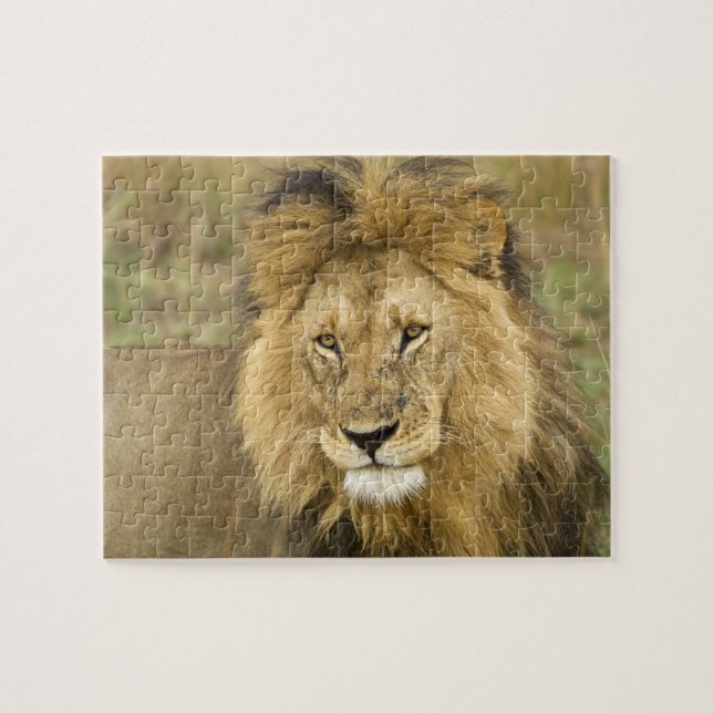 Kenya Masai Mara Jigsaw Puzzle (Horizontal)