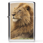 Kenya, Masai Mara | Male Lion