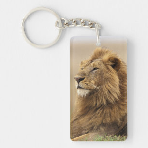 Kenya, Masai Mara Male Lion Key Ring