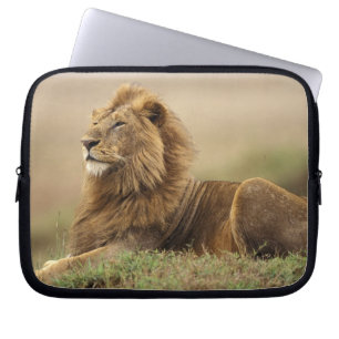 Kenya, Masai Mara   Male Lion Laptop Sleeve