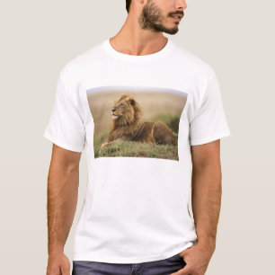 Kenya, Masai Mara   Male Lion T-Shirt